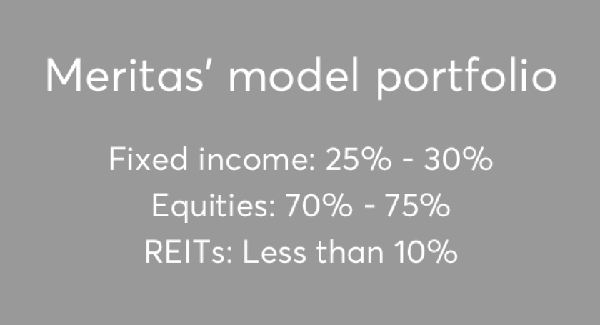 Meritas model portfolio