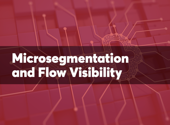 Microsegmentation.png