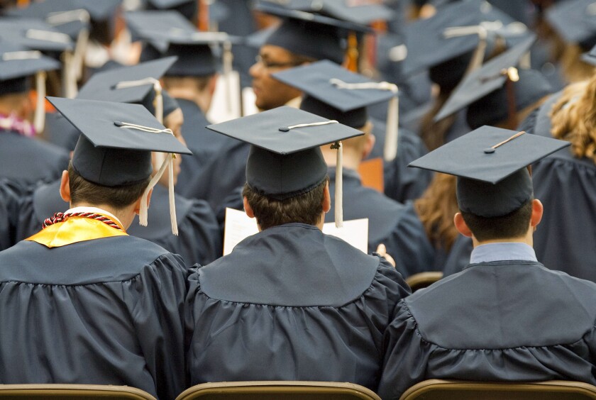 College graduates bloomberg