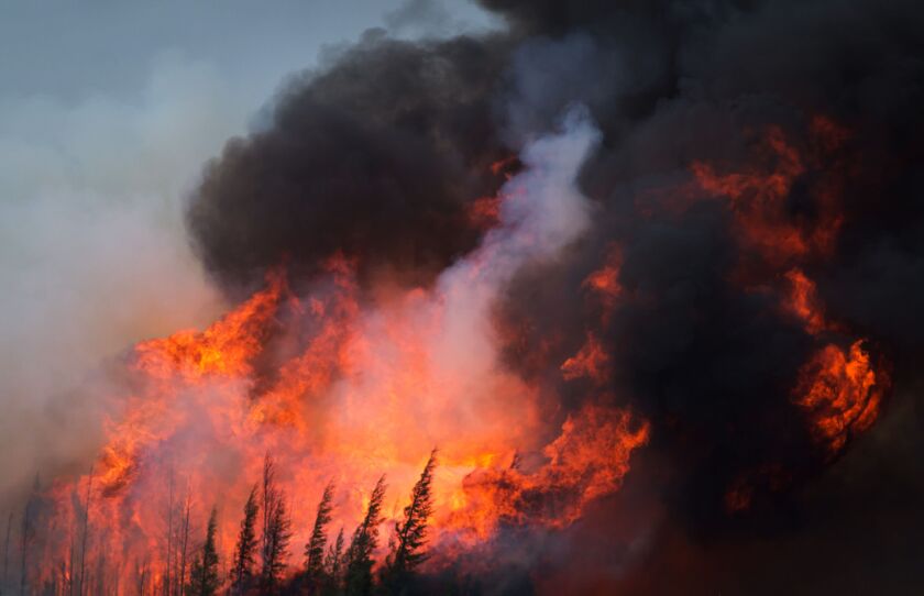 di-wildfire-stock-080519