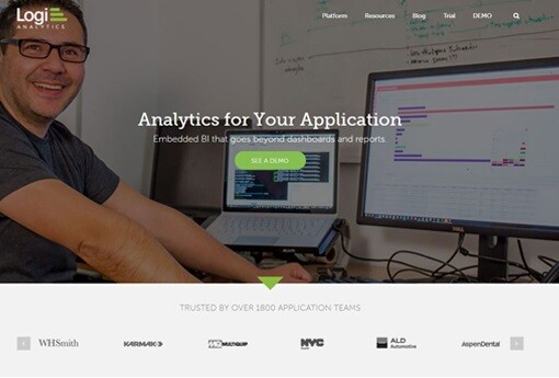 Logi-Analytics 20.jpg