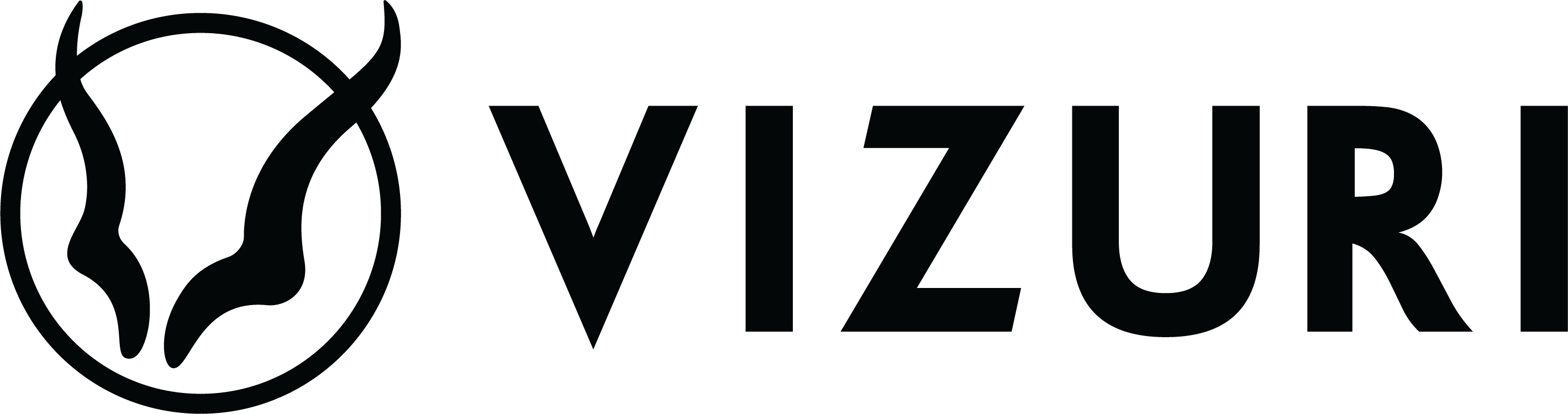 Vizuri Logo