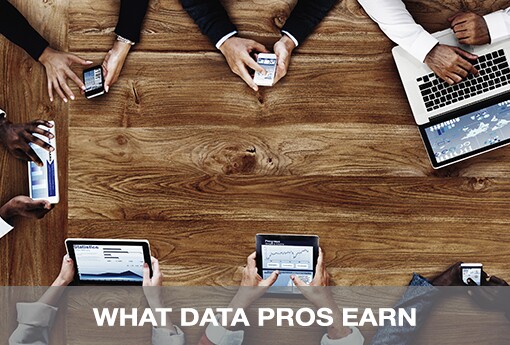 WHAT-DATA-PROS-EARN.jpg