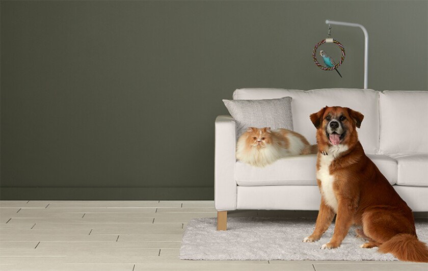 petmates