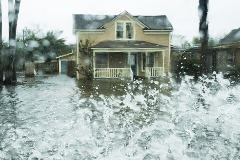 Hurricane Harvey hits texas-Bloomberg News