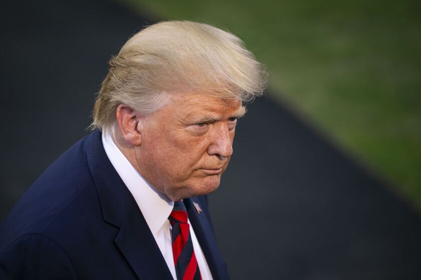 trump-donald-closeup-profile.jpg