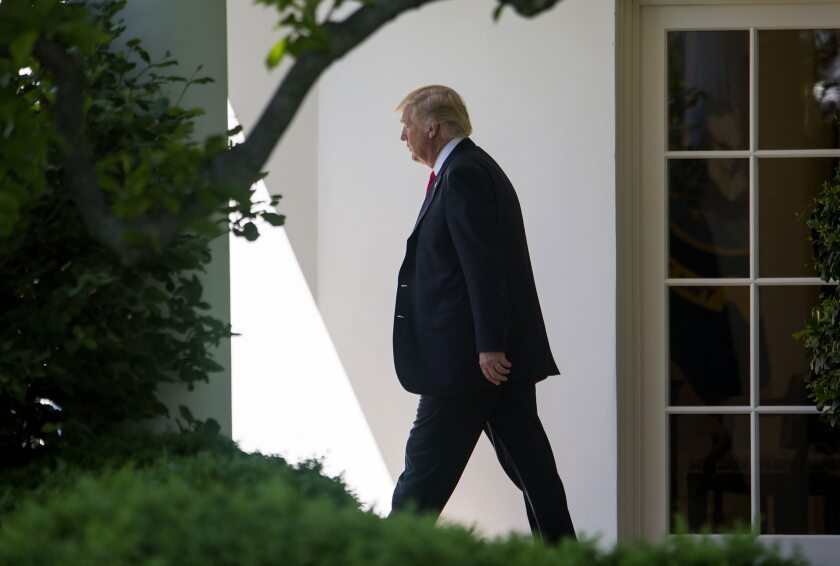 President Donald Trump on the South Lawn of the White House