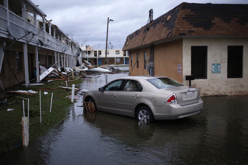 hurricane michael IAG