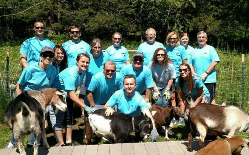 all-goats-mscpa-2017