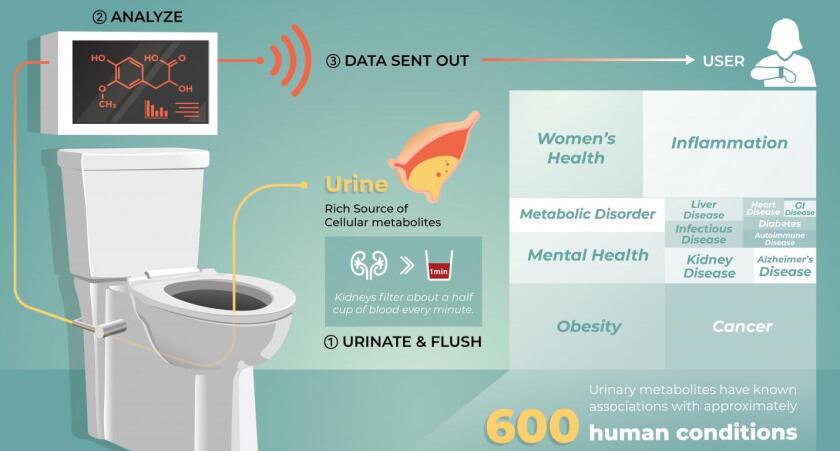 Smart Toilet-CROP.jpg