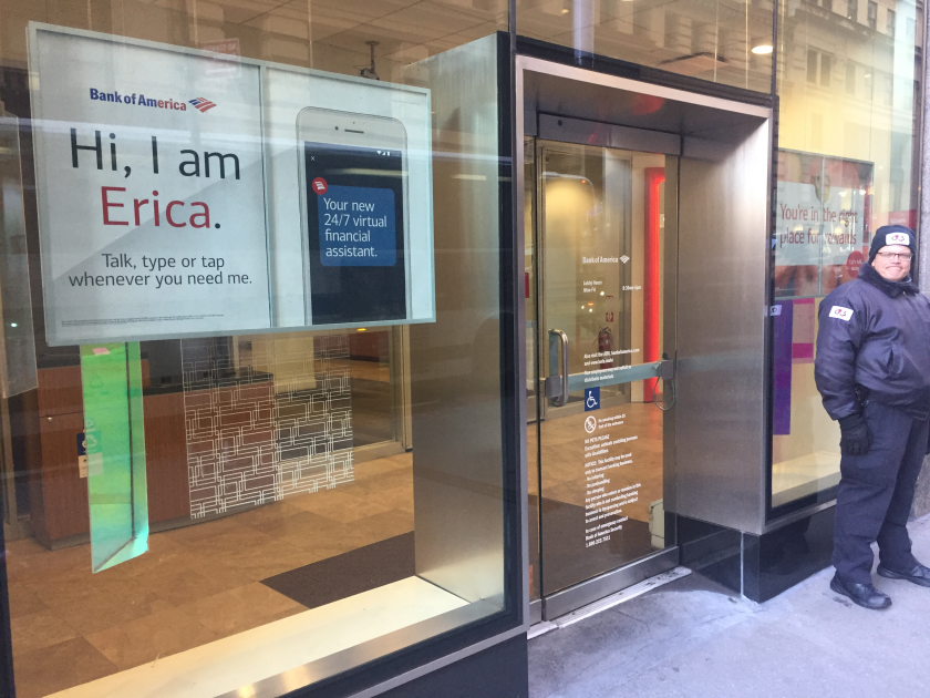 Bank of America, Erica advertisement