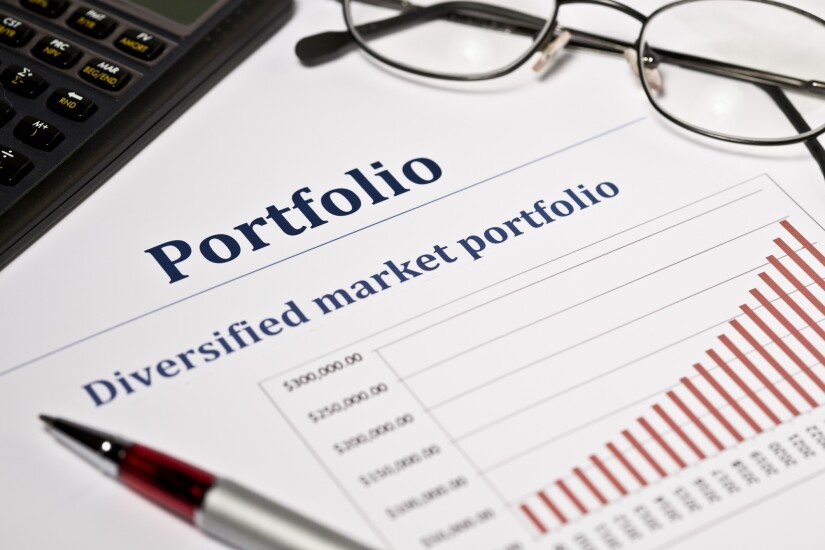 6. Diverse Portfolio.jpg