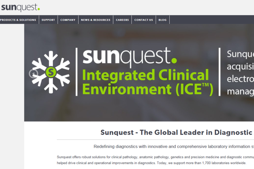 8 Sunquest-CROP.png