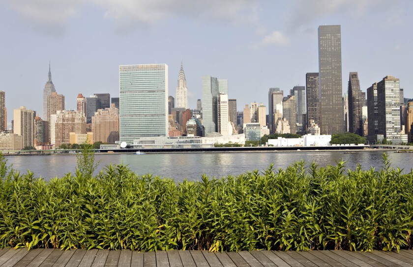 NYC Skyline.Bloomberg.jpg
