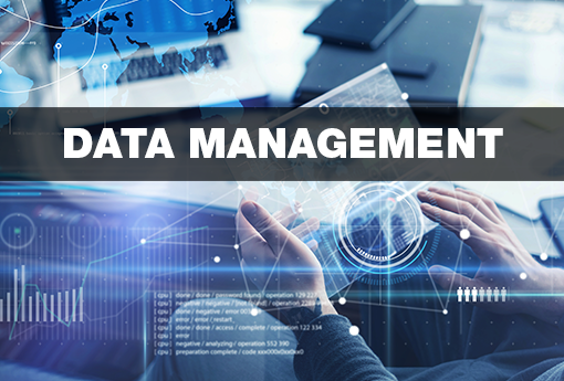 DATA-MANAGEMENT-2.png