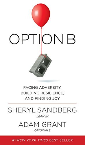 Book cover - Option B