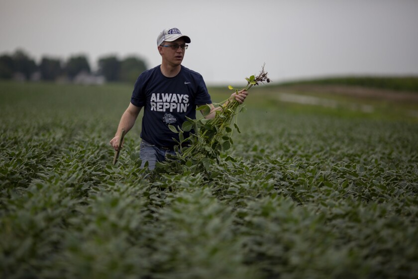 Agriculture