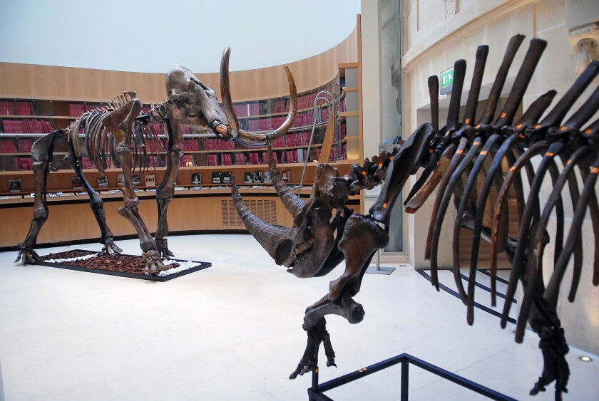Complex assets include those types that are not for public trading, such as private shares, real estate, antique furniture and prehistoric fossils.