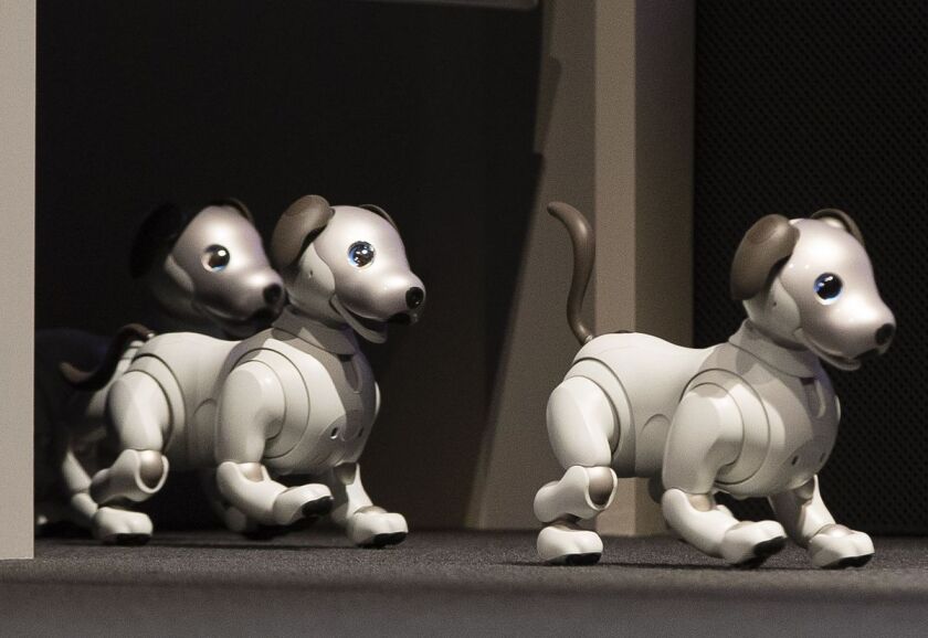 Sony robot dogs.jpg