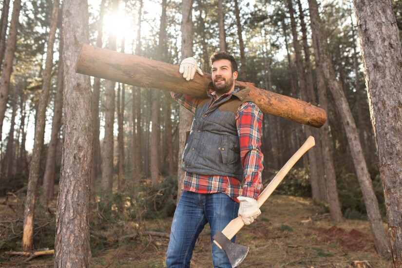 Logger.jpg