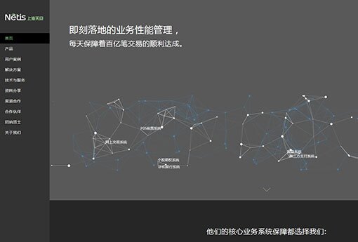 Netis-(CrossFlow-in-the-U.S.).jpg