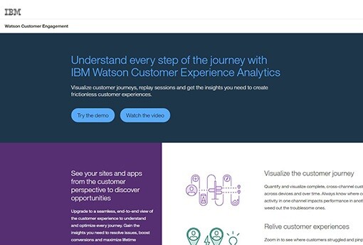 IBM DI.jpg