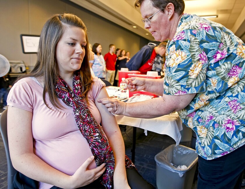 pregnant lady