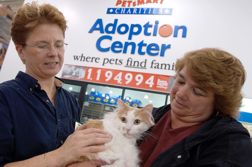 Cat.adoption.petsmart.bloomberg.jpg