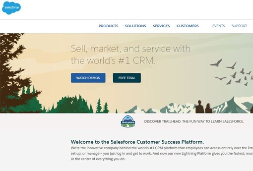 Salesforce 20.jpg