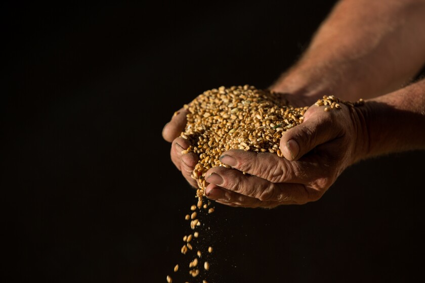 farming-seeds-bloomberg-iag-2016