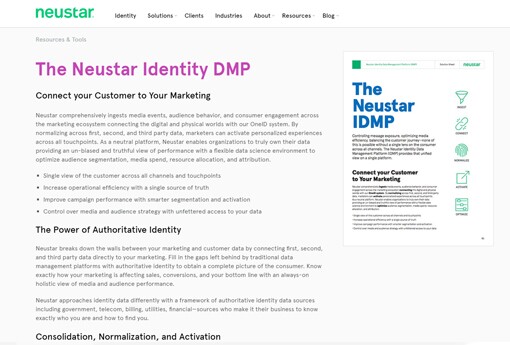 Neustar-Identity-DMP.jpg