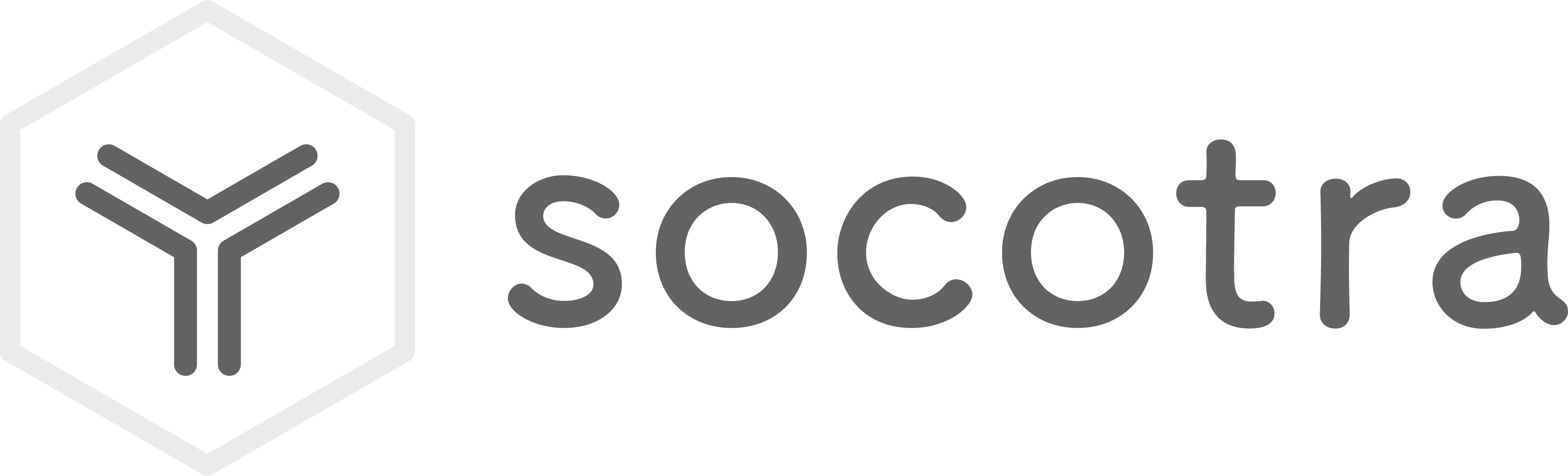 Socotra DigIn19 Logo