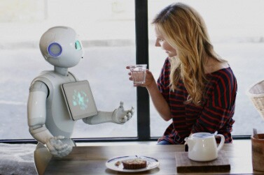 pepper_1_low-CROP.jpg