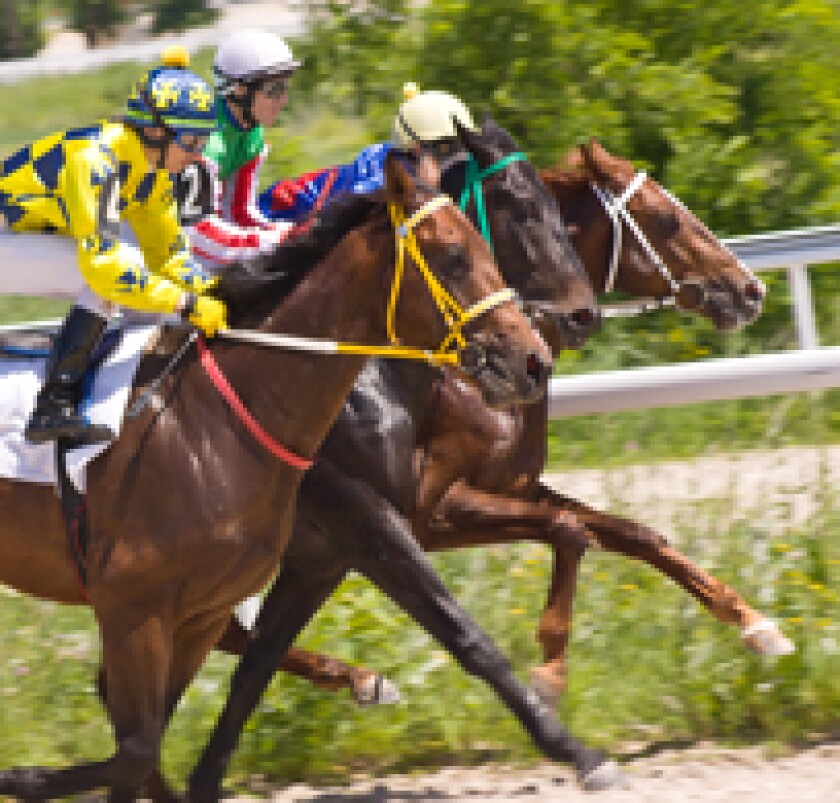 horserace.jpg