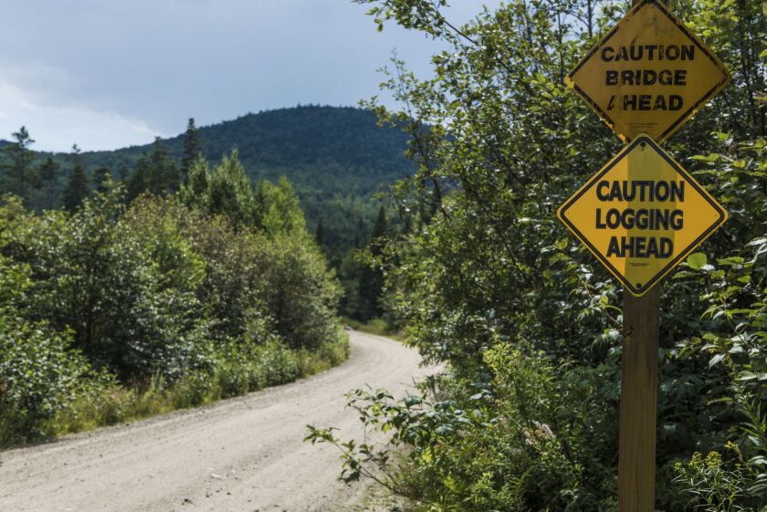 A "Caution Logging Ahead" sign is displayed near land managed by Wagner Forest Management Ltd., a company hired to handle Yale's land, in Millsfield, New Hampshire, U.S., on Thursday, Aug. 10, 2017. For at least two decades, Yale has led a land rush by the richest colleges. Funds snapped up forests as a way to hedge against inflation and the risks of stocks and bonds, and to take advantage of endowments' unusual ability to make investments that might not be easy to sell quickly. Photographer: Ian Thomas Jansen-Lonnquist/Bloomberg