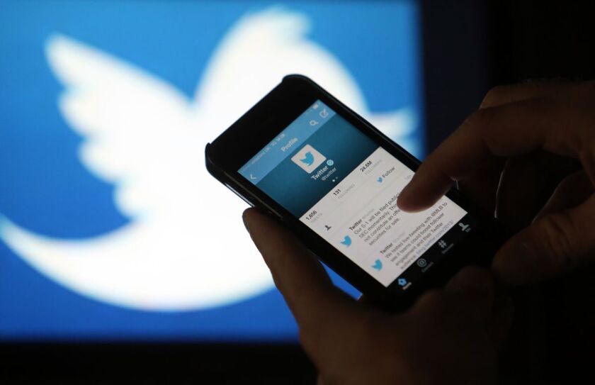 Twitter bug.jpg
