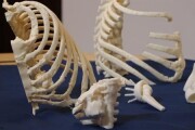 Medical Tech 4.jpg