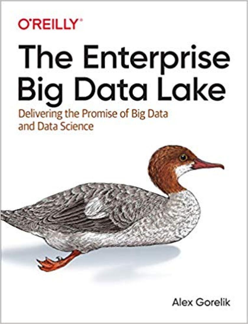 book jacket The Enterprise Big Data Lake.jpg