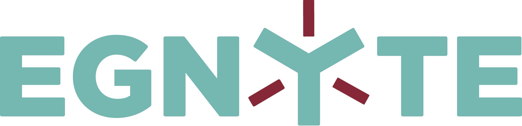 Egnyte Logo