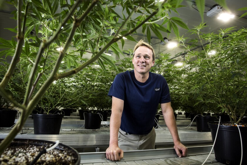canopygrowth