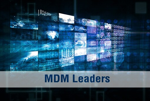 MDM-Leaders_intro slide.jpg