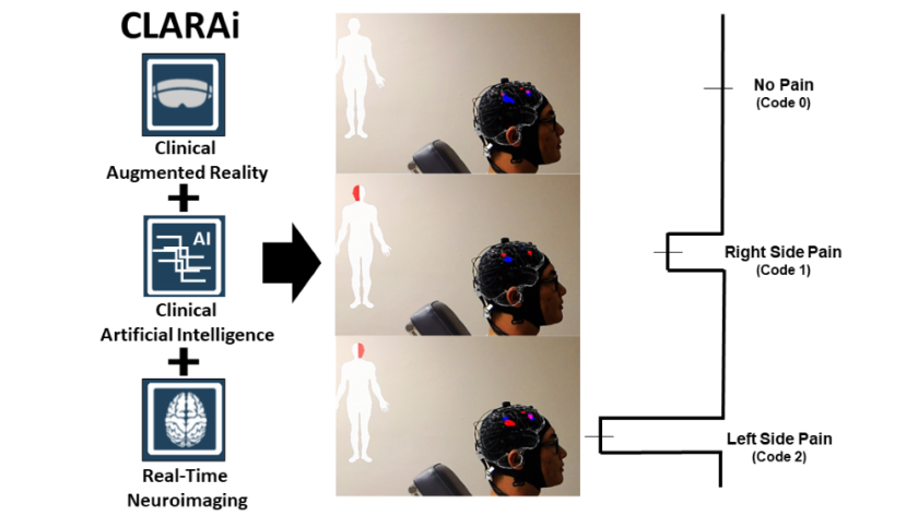 Brain-imaging2-CROP.png