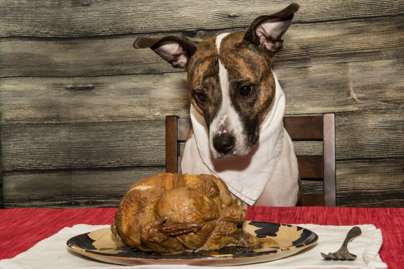 9. Thankful.Adobe.jpeg